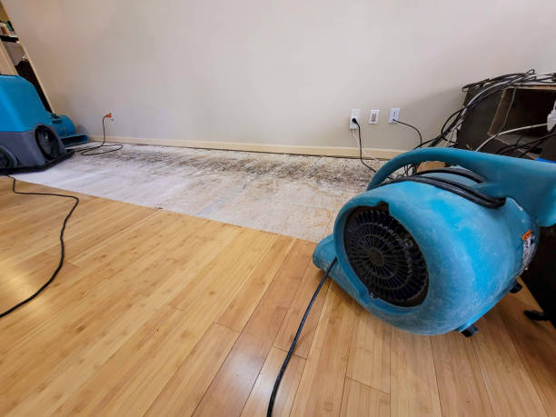 Professional Water Damage Repair technician working in Depew, NY